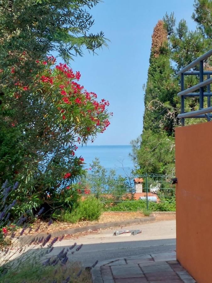 Apartments Henc Novigrad  Exterior photo