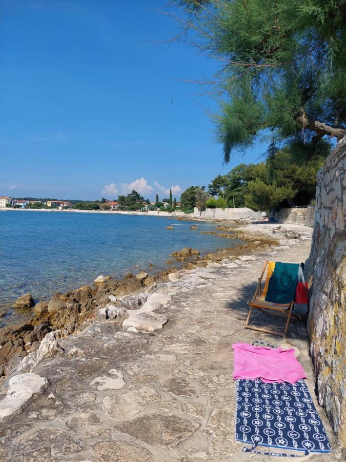 Apartments Henc Novigrad  Exterior photo