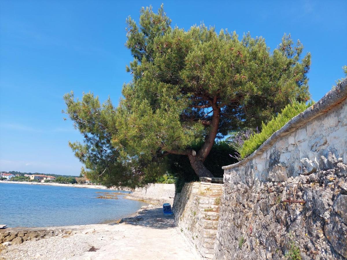 Apartments Henc Novigrad  Exterior photo